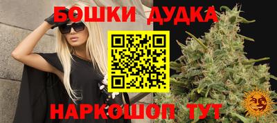 хмурый Моздок