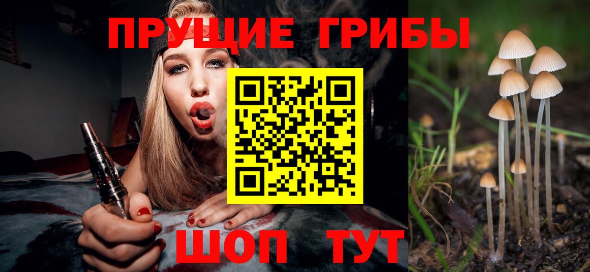 Псилоцибиновые грибы MAGIC MUSHROOMS Пушкино